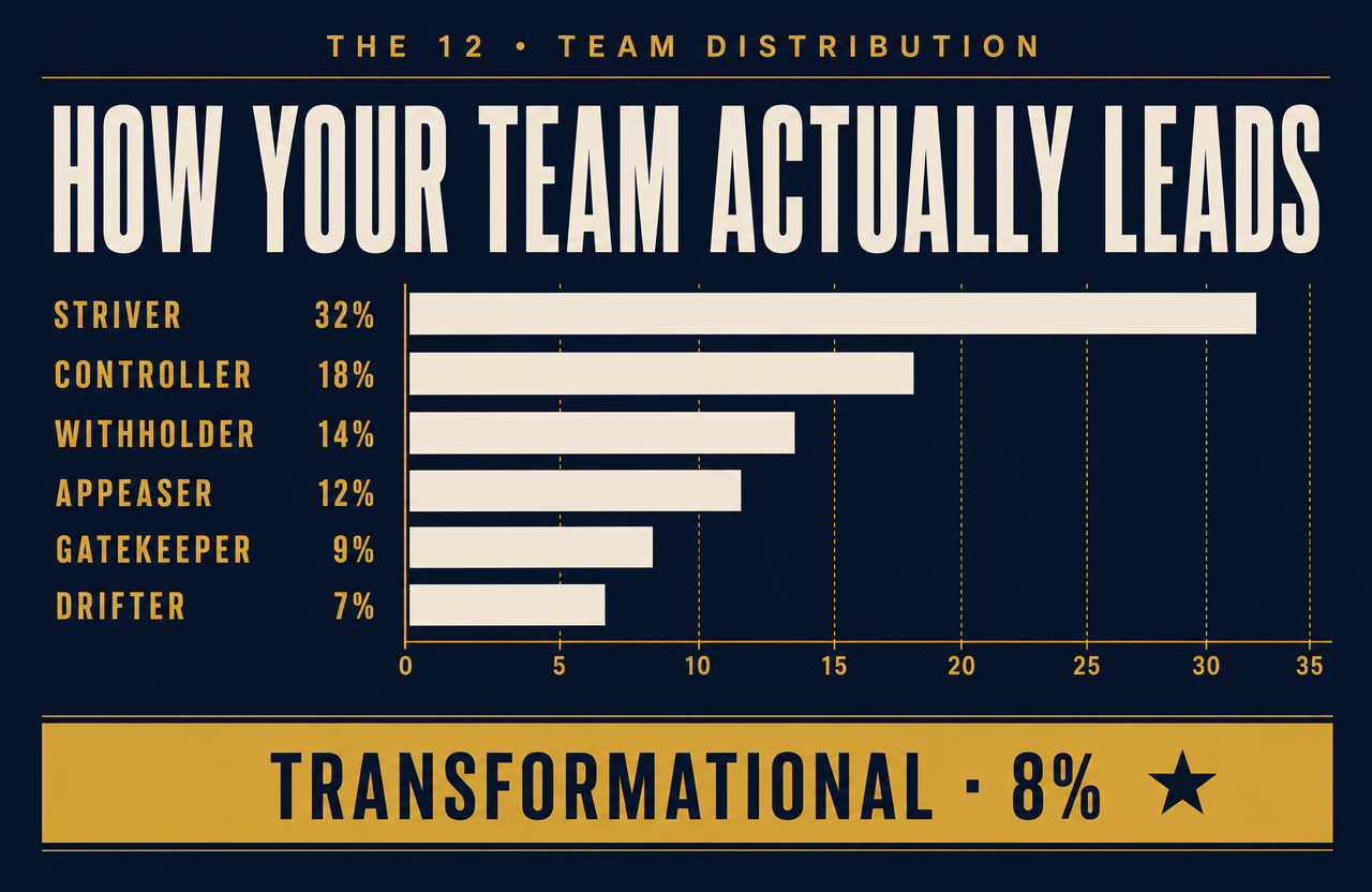 The 12 distribution chart showing how a team is spread across the six leadership styles.