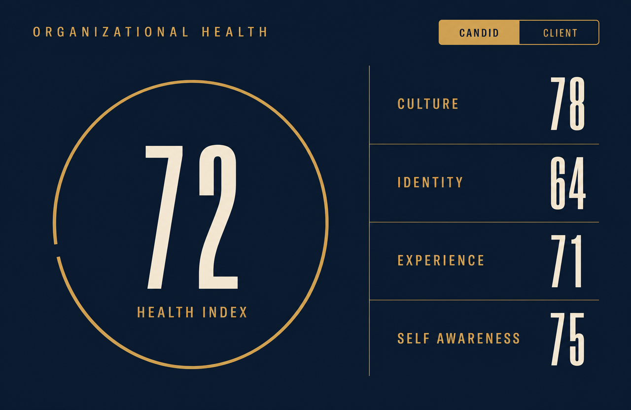 Organizational health snapshot showing culture, identity, experience, and self awareness scores.